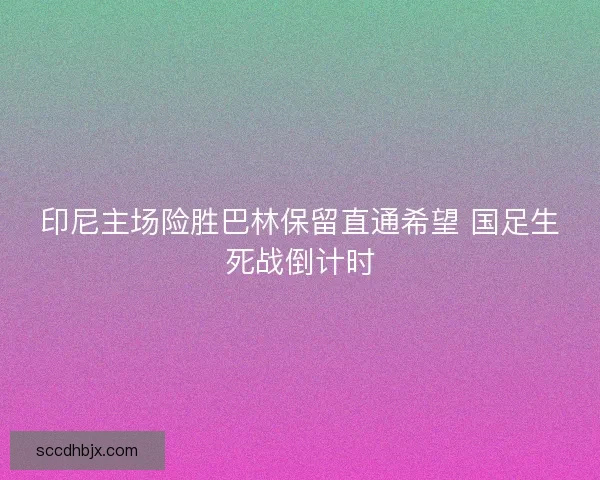 印尼主场险胜巴林保留直通希望 国足生死战倒计时
