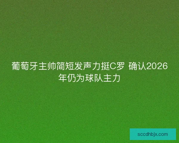 葡萄牙主帅简短发声力挺C罗 确认2026年仍为球队主力