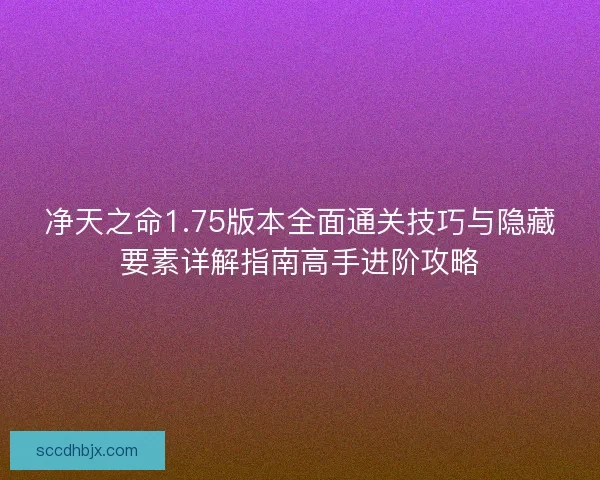 净天之命1.75版本全面通关技巧与隐藏要素详解指南高手进阶攻略