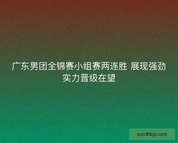 广东男团全锦赛小组赛两连胜 展现强劲实力晋级在望